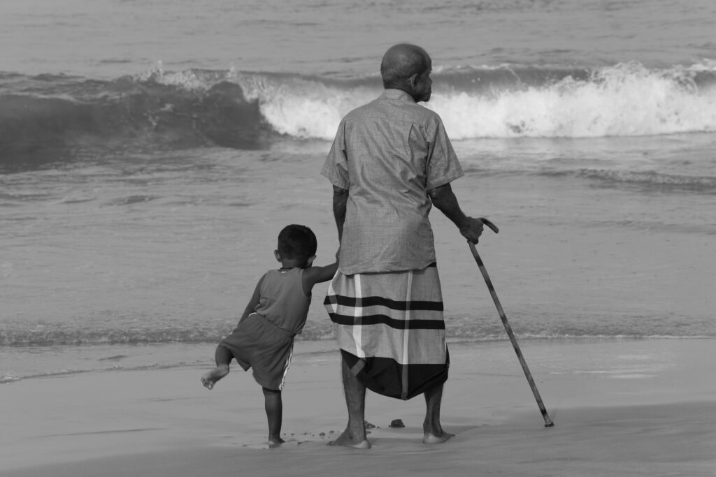 Senioren Kochbuch - 20 Kochbücher für Senioren!