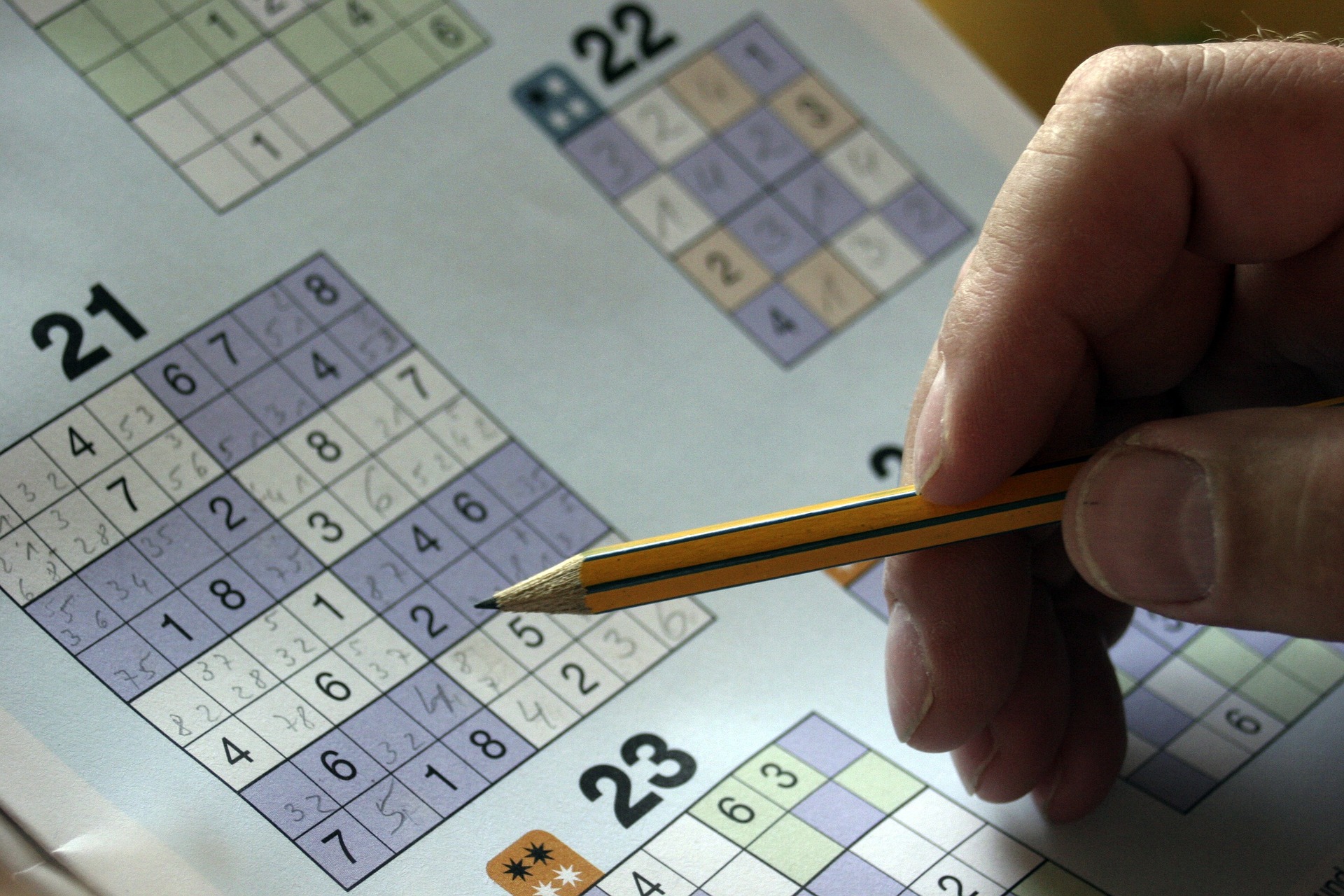 Senioren Sudoku - 20 Sudokus für Senioren!